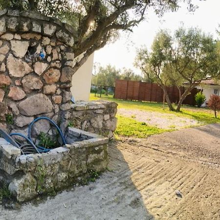 Villa Πετρινη Κατοικια Στην Φυση Tagarades Exterior foto
