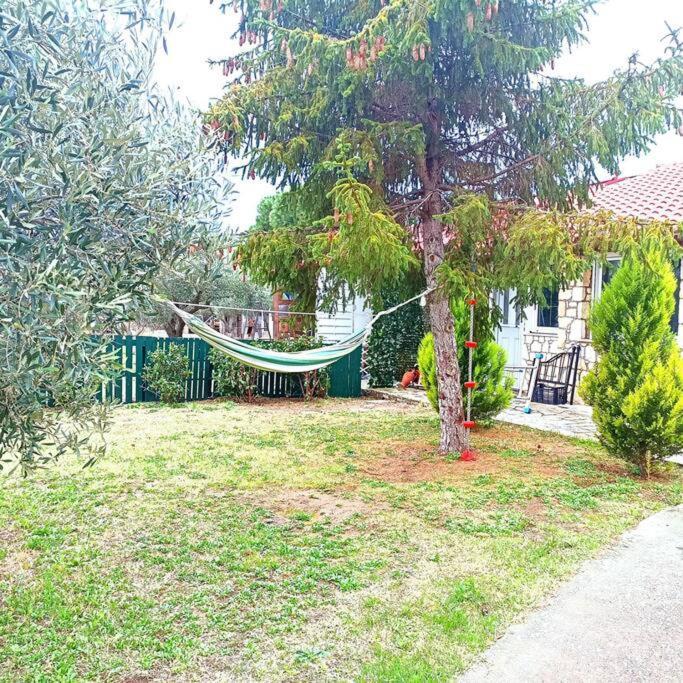 Villa Πετρινη Κατοικια Στην Φυση Tagarades Exterior foto